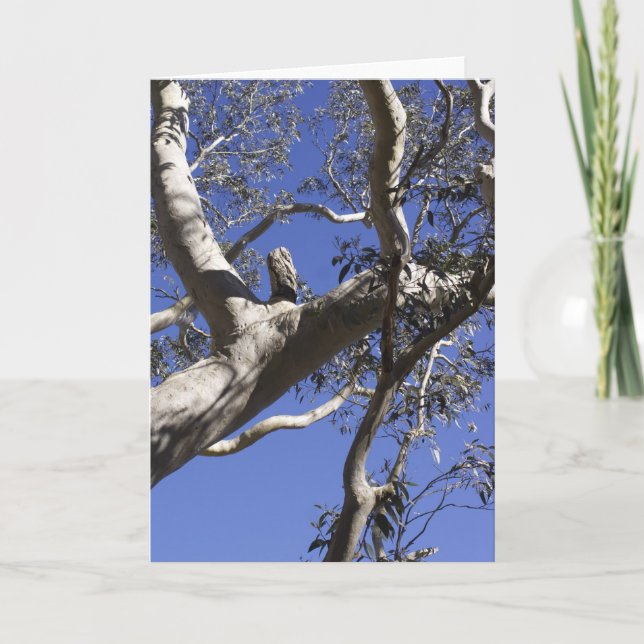 Cartão do feriado, marismas (Frente)