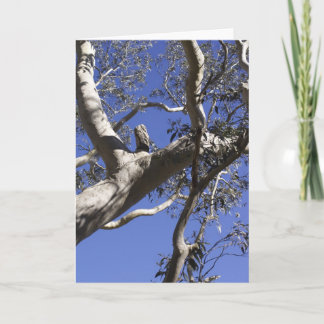 Cartão do feriado, marismas