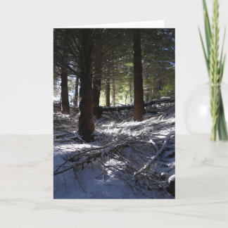 Cartão do feriado, o Queenstown máximo de Bob