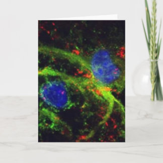 cartão do fibrinogénio