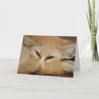 Cartão do Fox de Fennec
