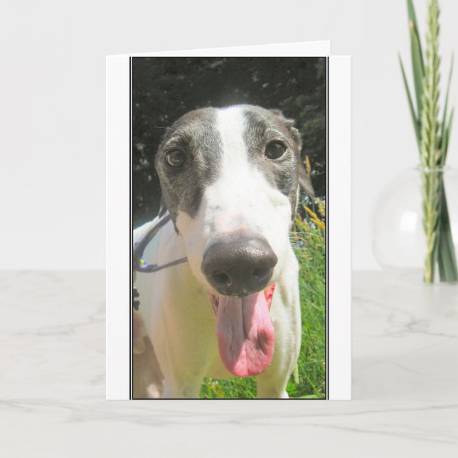 Cartão do galgo (Frente)