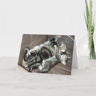 Cartão do gatinho do dia dos pais