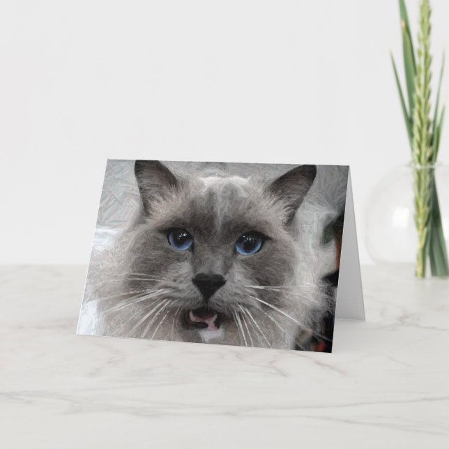 Cartão do gato (Frente)