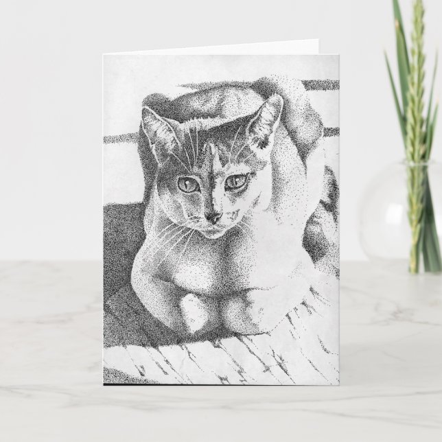 Cartão do gato (Frente)