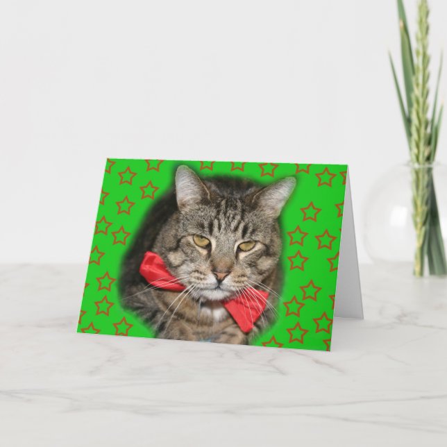 cartão do gato (Frente)