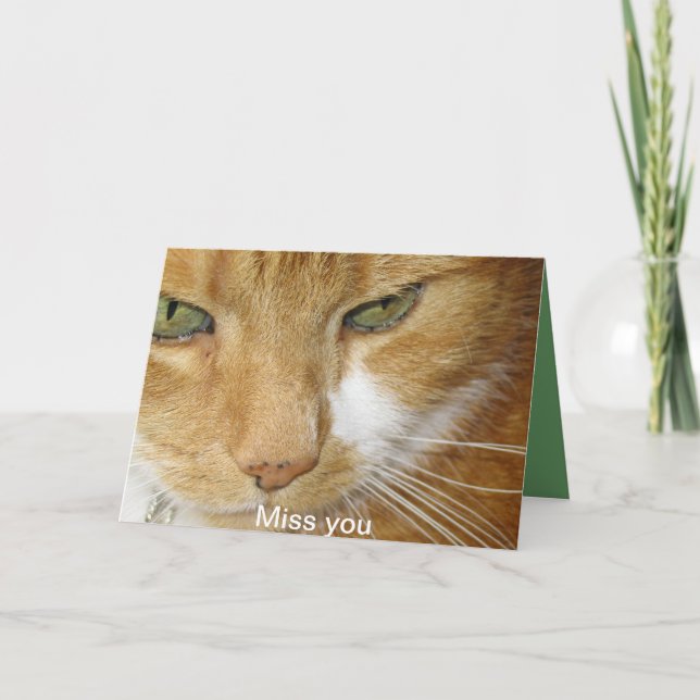 Cartão do gato (Frente)