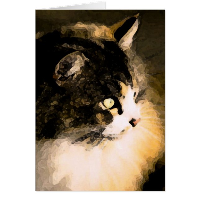 Cartão do gato (Frente)