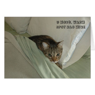 Cartão do gato de LOL