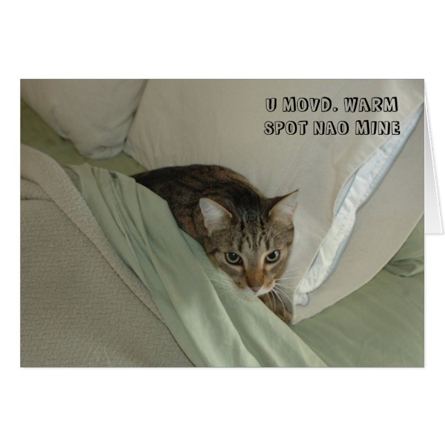 Cartão do gato de LOL (Frente Horizontal)