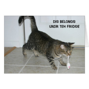 Cartão do gato de LOL