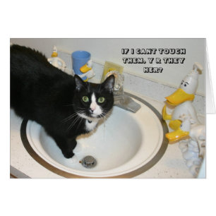 Cartão do gato de LOL