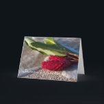 Cartão do gengibre vermelho<br><div class="desc">Imagem morna do gengibre vermelho em uma onda delicada da praia de Lanikai,  Oahu,  Havaí.</div>