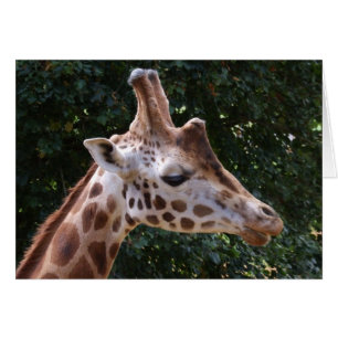 Cartão do girafa
