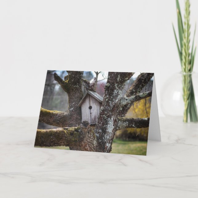 Cartão do greetibg de Framable do Birdhouse 4219 (Frente)