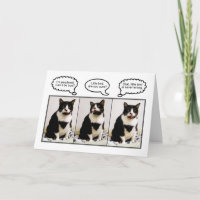 Cartão do humor do aniversário do gato do smoking
