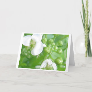 cartão do incentivo