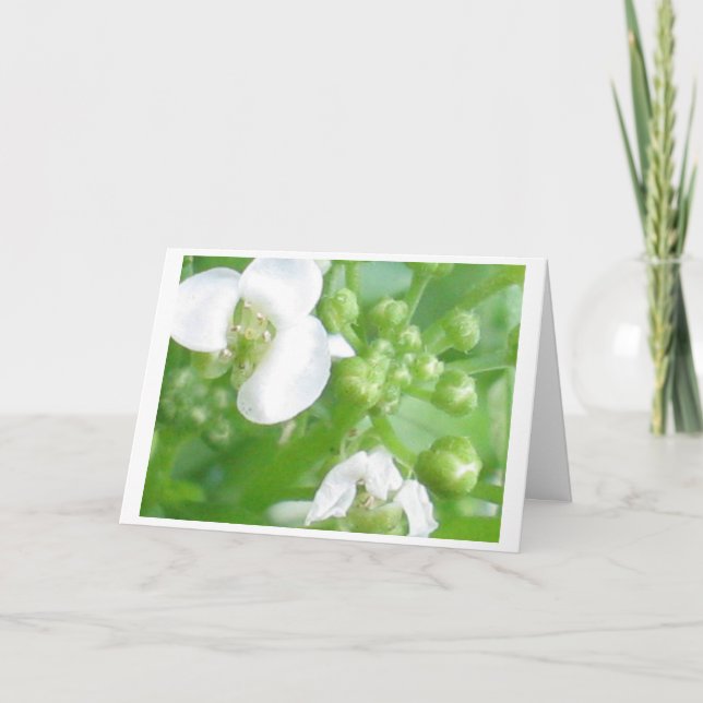 cartão do incentivo (Frente)