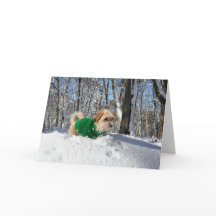 Cartão do incentivo do montanhista de montanha