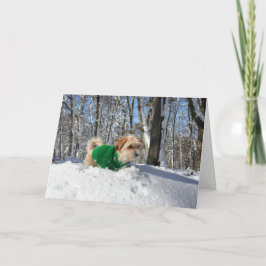 Cartão do incentivo do montanhista de montanha