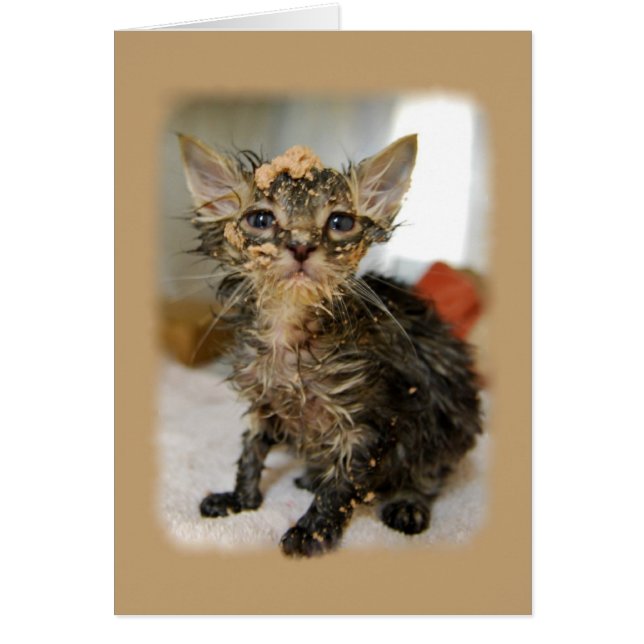 Cartão do Kitten Mensado (Frente)