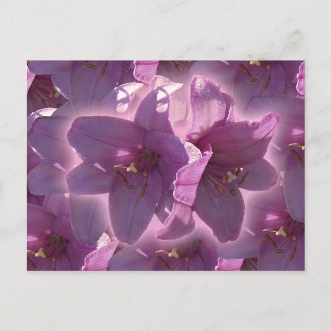 Cartão do lírio (Frente)