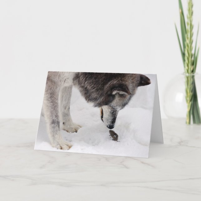 Cartão do lobo & do rato (Frente)