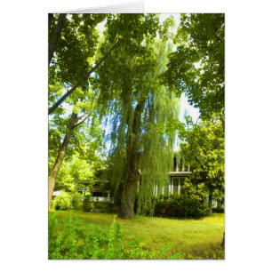 Cartão Do lugar um mistério além - quase na vista