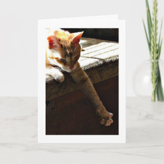 Cartão Do "luz do sol inverno "