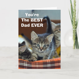 Cartão Do Melhor Papai Greeting Card do Gato