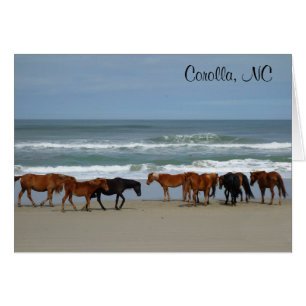 Cartão do NC do Corolla dos cavalos selvagens