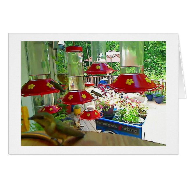 Cartão do patamar do colibri (Frente Horizontal)