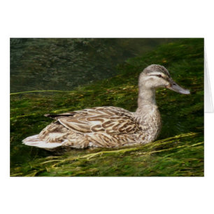 Cartão do pato