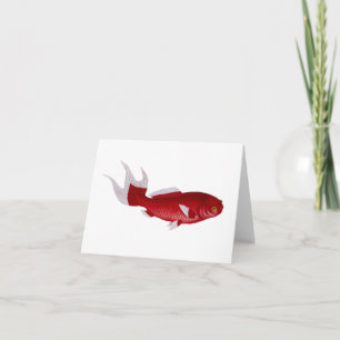Cartão do peixe dourado de Bloch