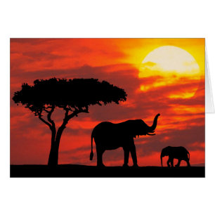 Cartão do por do sol