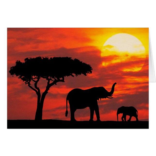 Cartão do por do sol (Frente Horizontal)