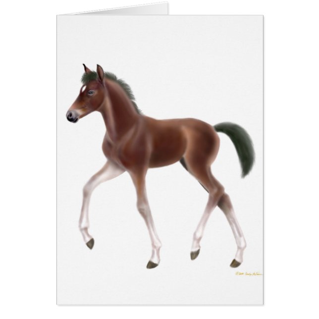 Cartão do potro trotar (Frente)