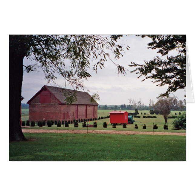 Cartão do prado da plantação (Frente Horizontal)