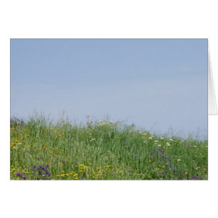 Cartão do prado do verão