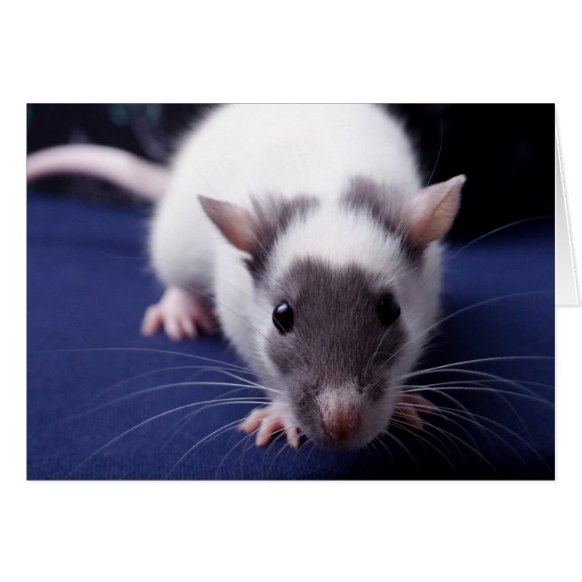 Cartão do problema (Frente horizontal)