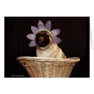 Cartão do Pug # 2