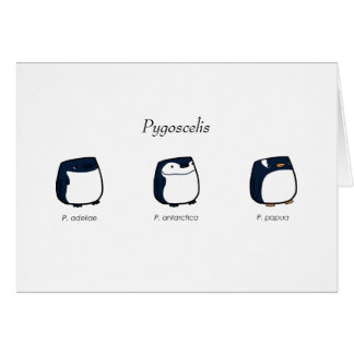 Cartão do Pygoscelis
