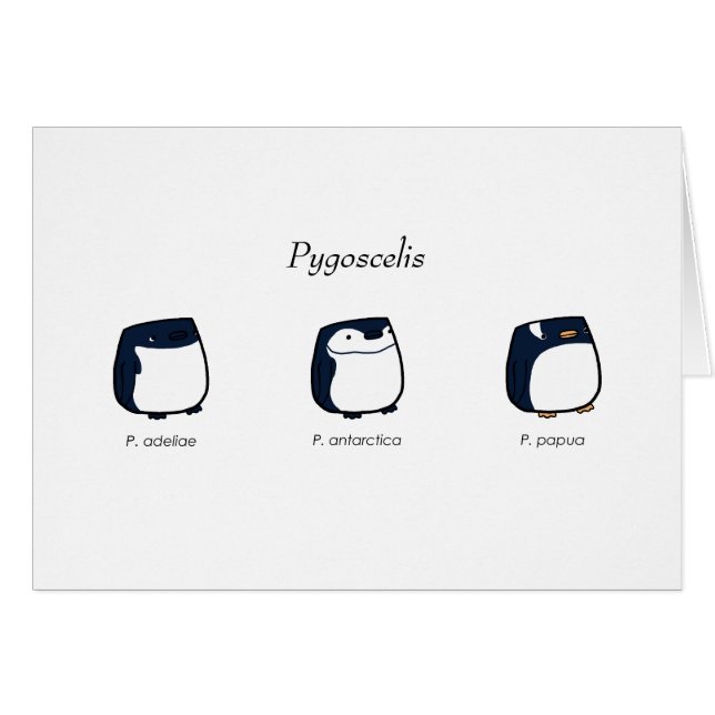 Cartão do Pygoscelis (Frente horizontal)