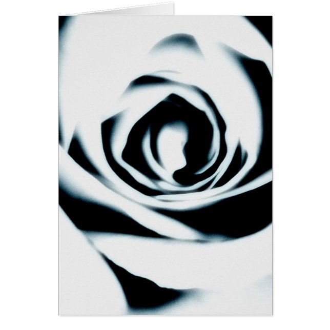 Cartão do rosa branco (Frente)
