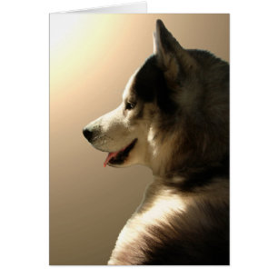 Cartão do rouco Siberian/cartão Malamute do Alas