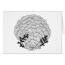 Cartão do Seashell de Listakora com envelope