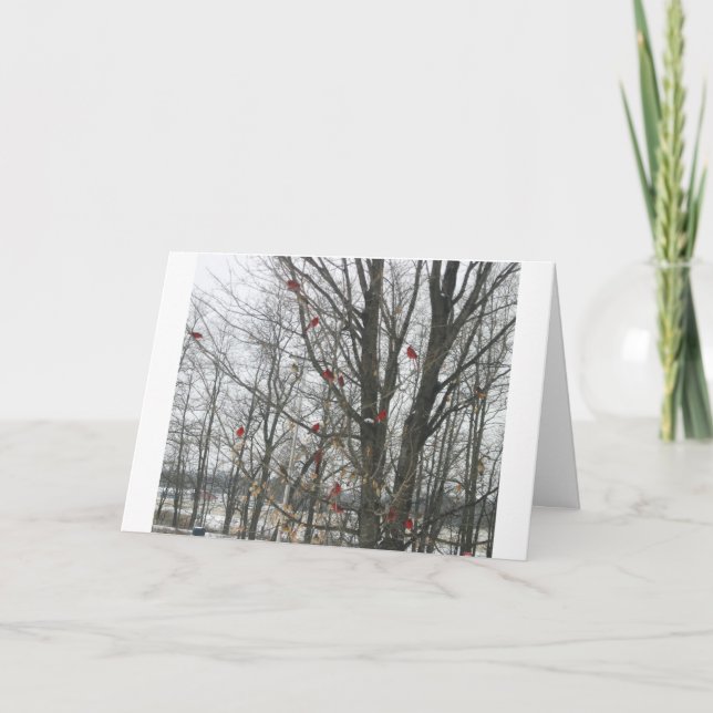 Cartão do solstício (Frente)