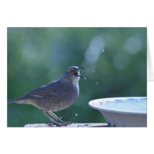 Cartão do Splasher de Thrasher