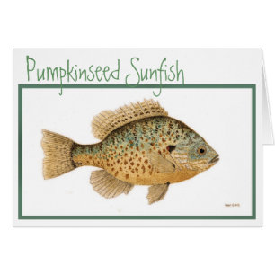 Cartão do Sunfish de Pumpkinseed
