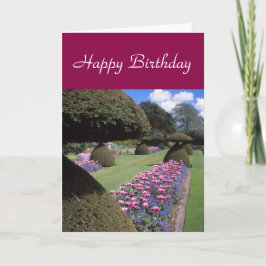 cartão do Toadstool-topiary